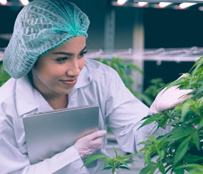 fda approved CBD product manufacturer